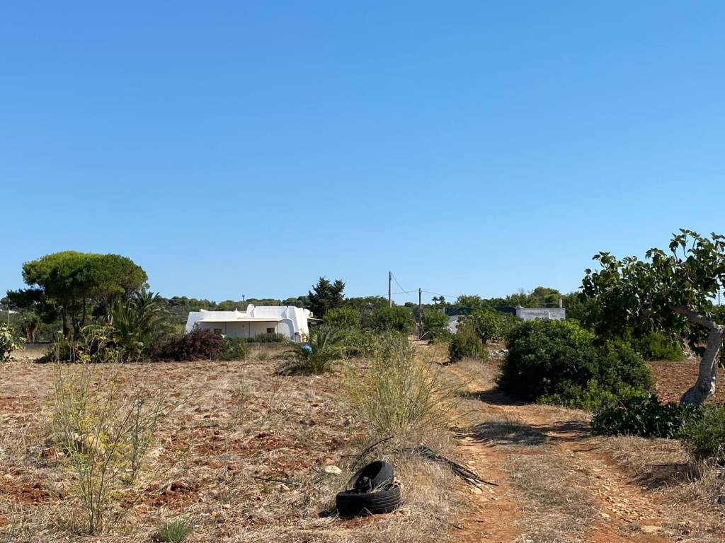 Terreno a Salve in Strada Comunale Primo Pali - Foto 2