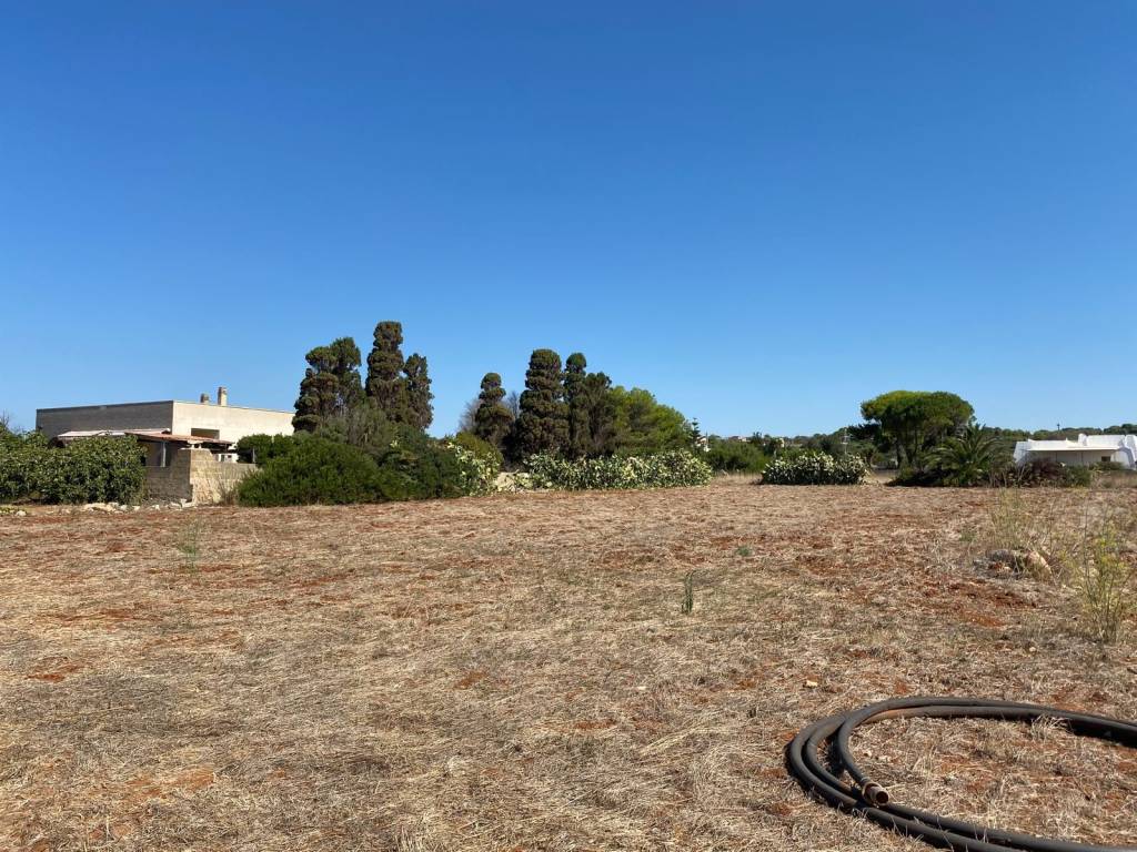 Terreno a Salve in Strada Comunale Primo Pali - Foto 3