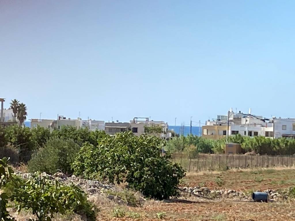 Terreno a Salve in Strada Comunale Primo Pali - Foto 4