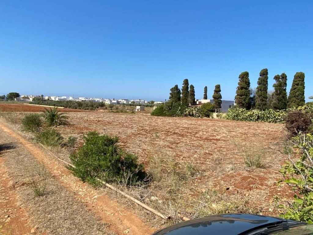 Terreno a Salve in Strada Comunale Primo Pali - Foto 5