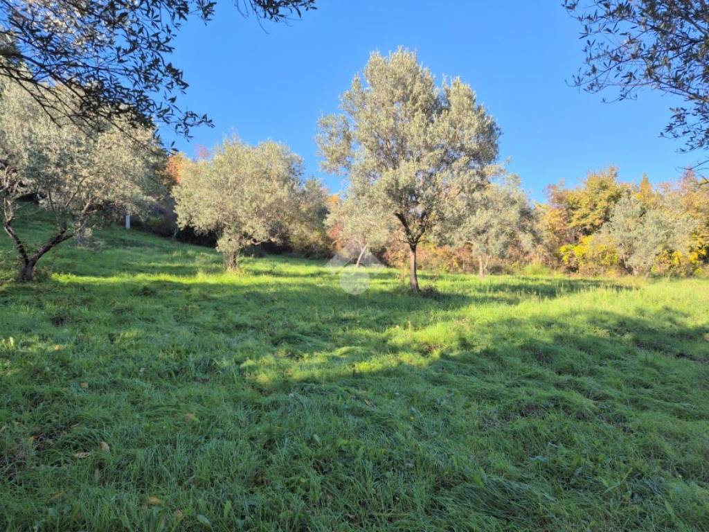 Terreno a Mompeo in VOCABOLO LIMITI - Foto 2