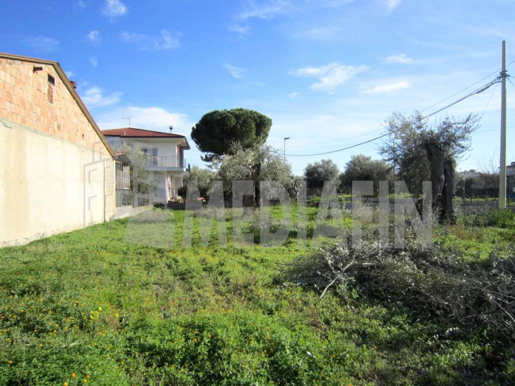 Terreno a Corigliano-rossano in CONTRADA OLIVETO LONGO - Foto 5