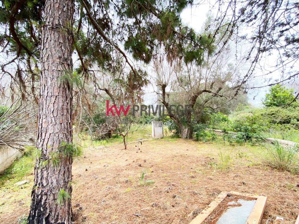 Villa a Carovigno in Contrada Colombo - Foto 4