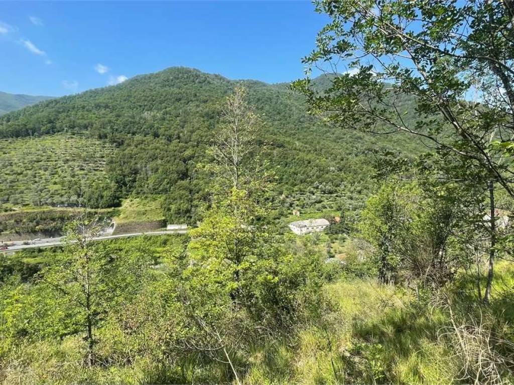 Rustico / casale a Pieve di teco in Località Ligassorio - Foto 2