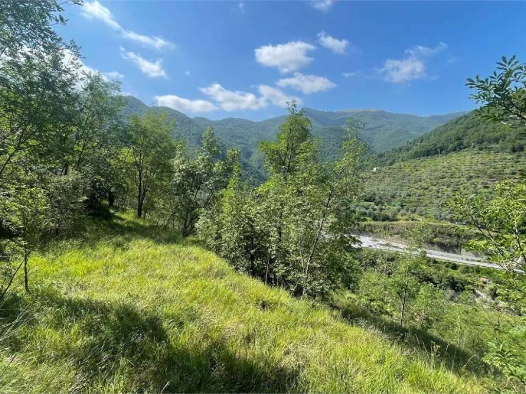 Rustico / casale a Pieve di teco in Località Ligassorio - Foto 3