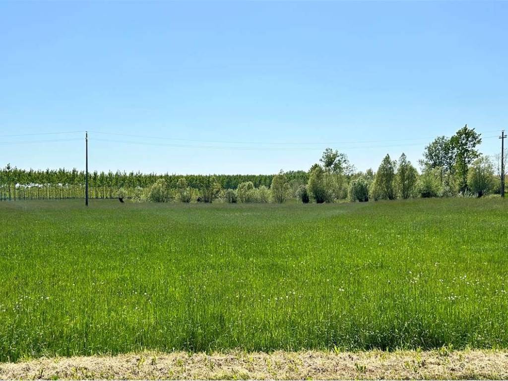 Terreno a Sacile - Foto 5