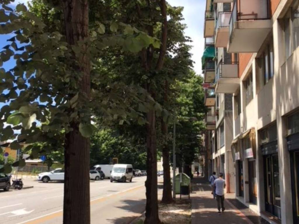 Immobile a Udine in viale Europa Unita 163 - Foto 3