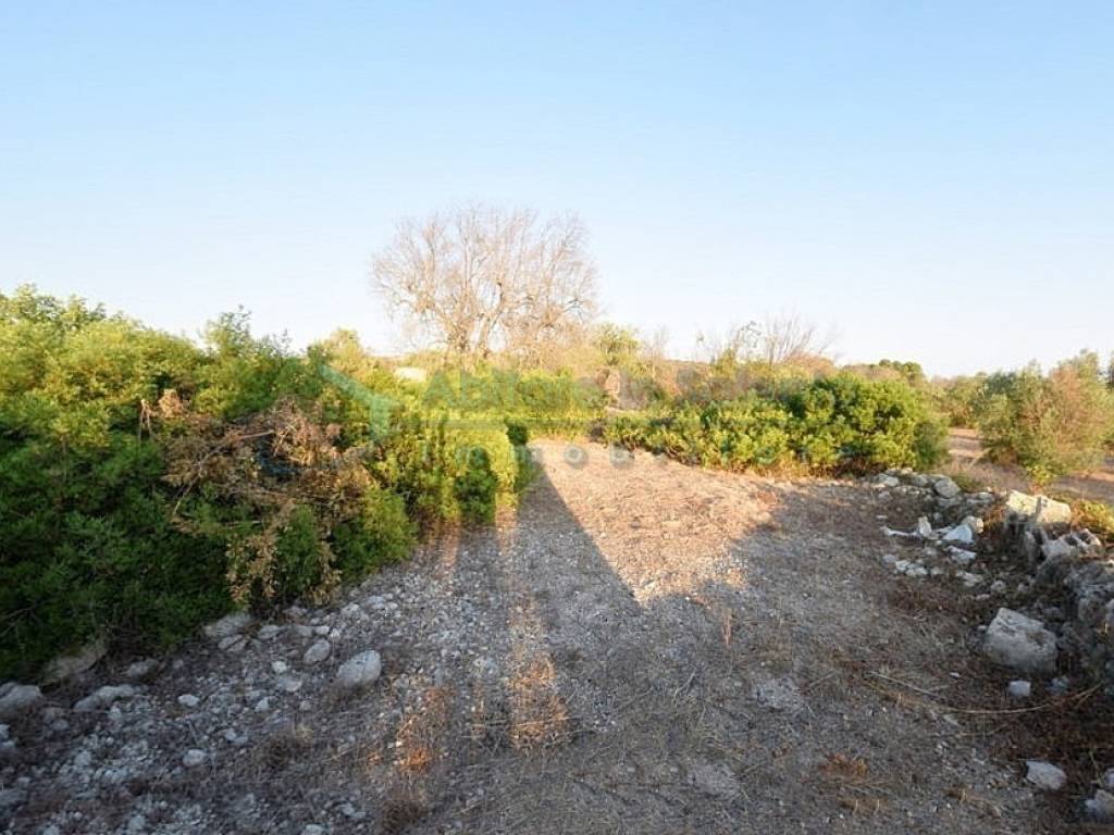 Terreno a Castrignano del capo in Località Montirò - Foto 3