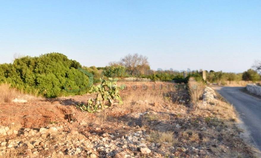 Terreno a Castrignano del capo in Località Montirò - Foto 5