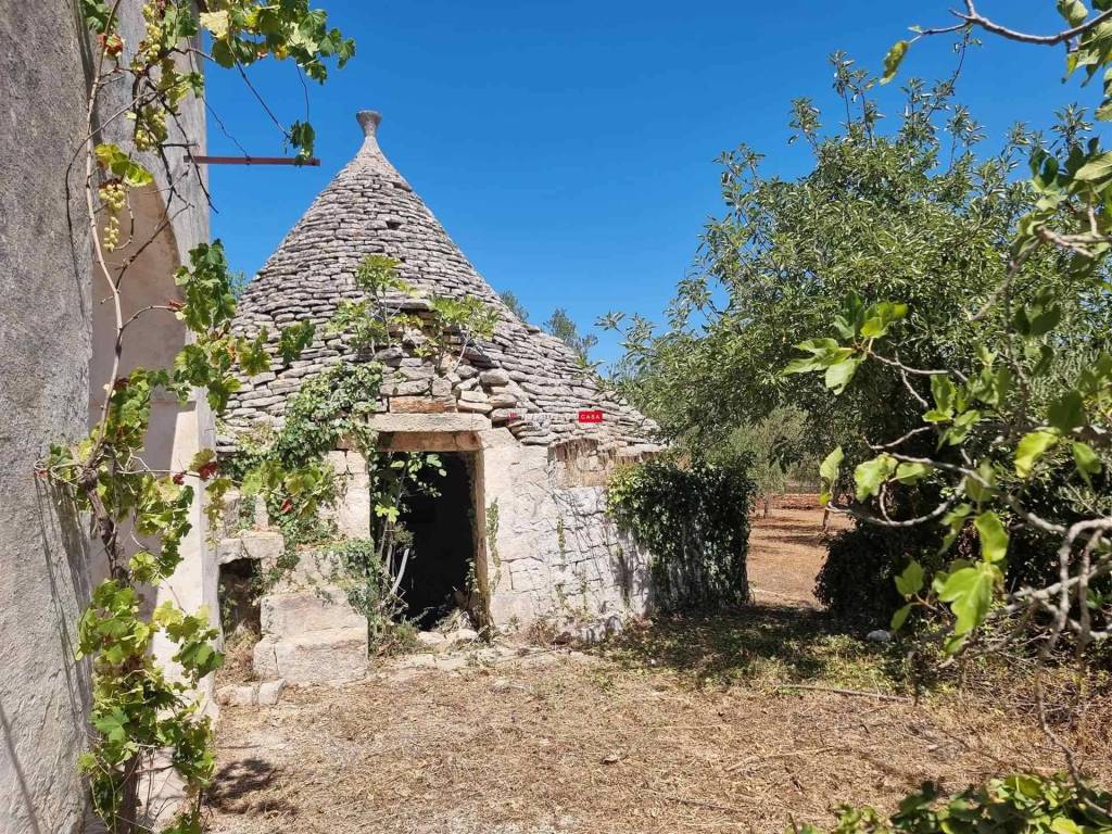 Rustico / casale a Cisternino in C.da Fasola - Foto 3