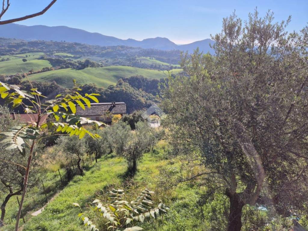 Terreno a Mompeo in VIA COSTE - Foto 2