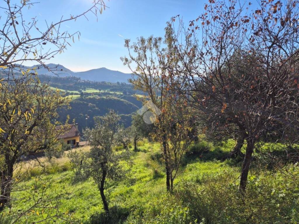 Terreno a Mompeo in VIA COSTE - Foto 5