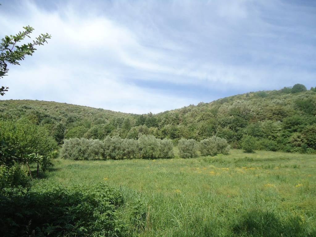 Terreno a Pontelatone in via - Foto 3