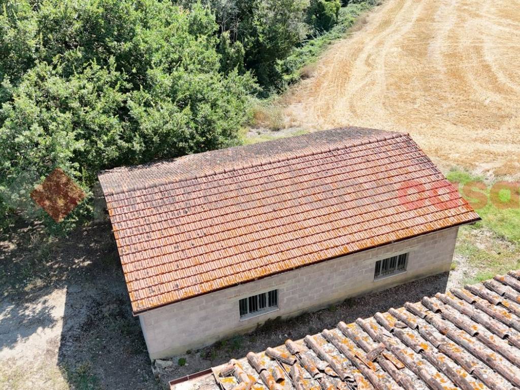 Rustico / casale a Asciano in strada del moro, 66 - Foto 5