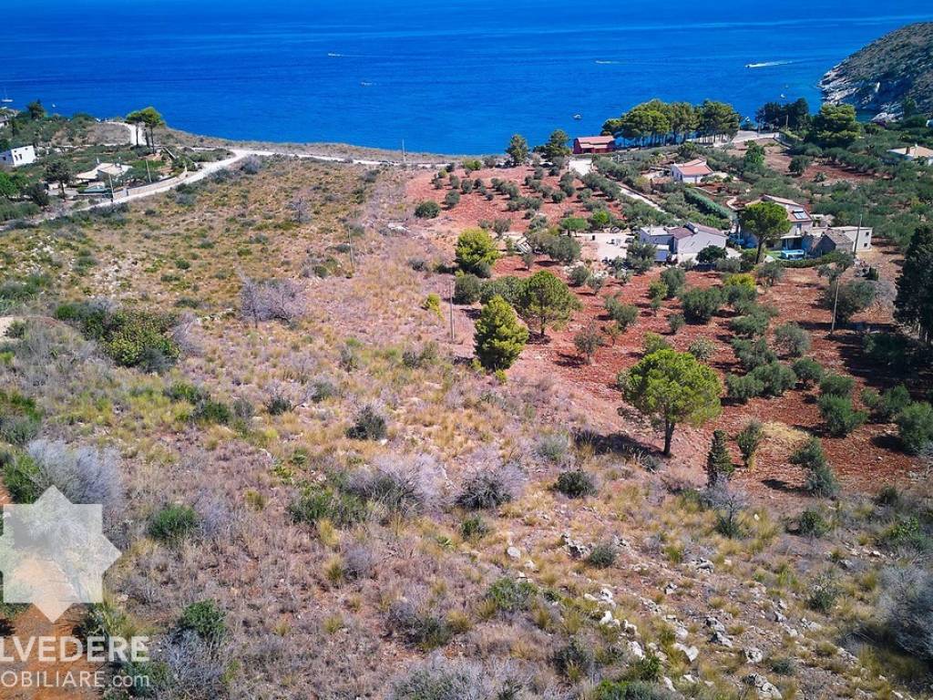 Terreno a Castellammare del golfo in Contrada Conza - Foto 5