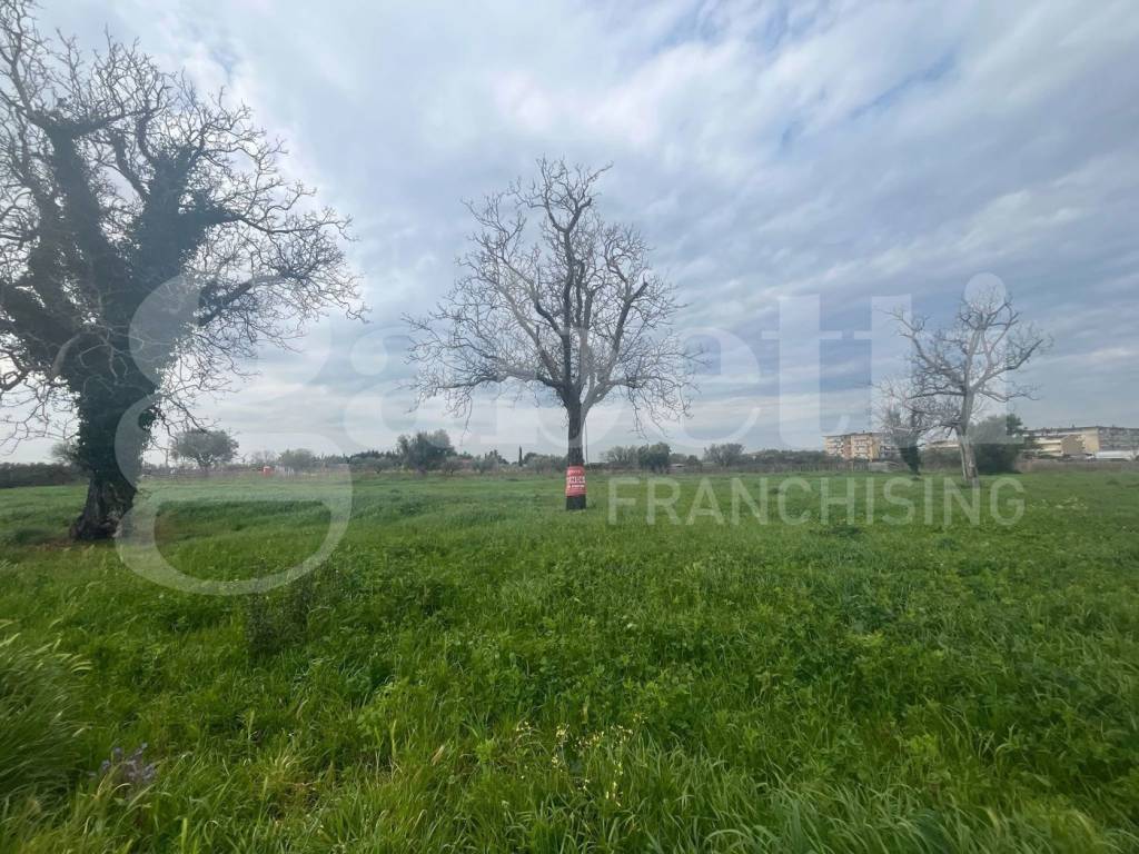 Terreno a Vitulazio in Via Luciani - Foto 3