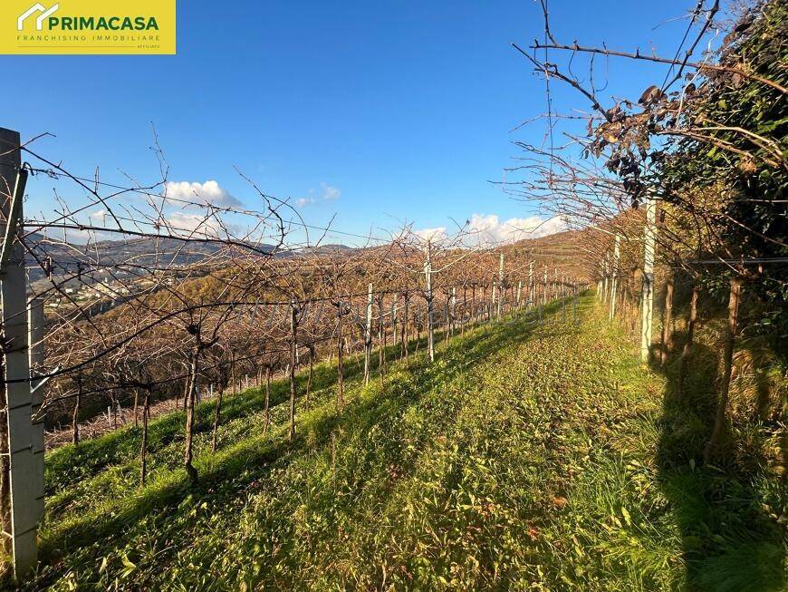 Terreno a Negrar di valpolicella in VIA CHIEVE, 0 - Foto 2