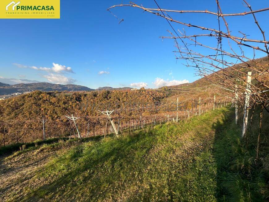 Terreno a Negrar di valpolicella in VIA CHIEVE, 0 - Foto 3
