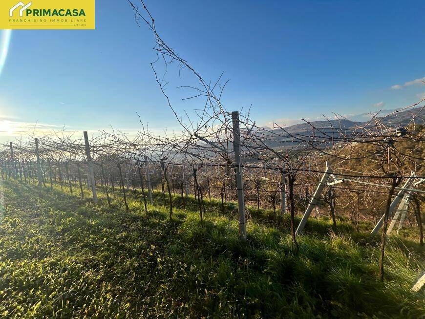Terreno a Negrar di valpolicella in VIA CHIEVE, 0 - Foto 4