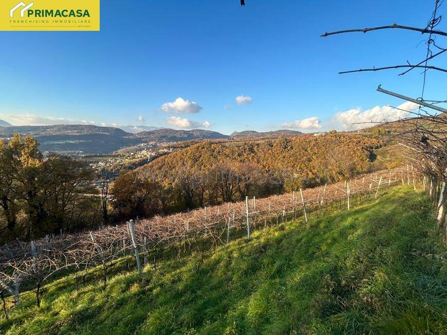 Terreno a Negrar di valpolicella in VIA CHIEVE, 0 - Foto 5