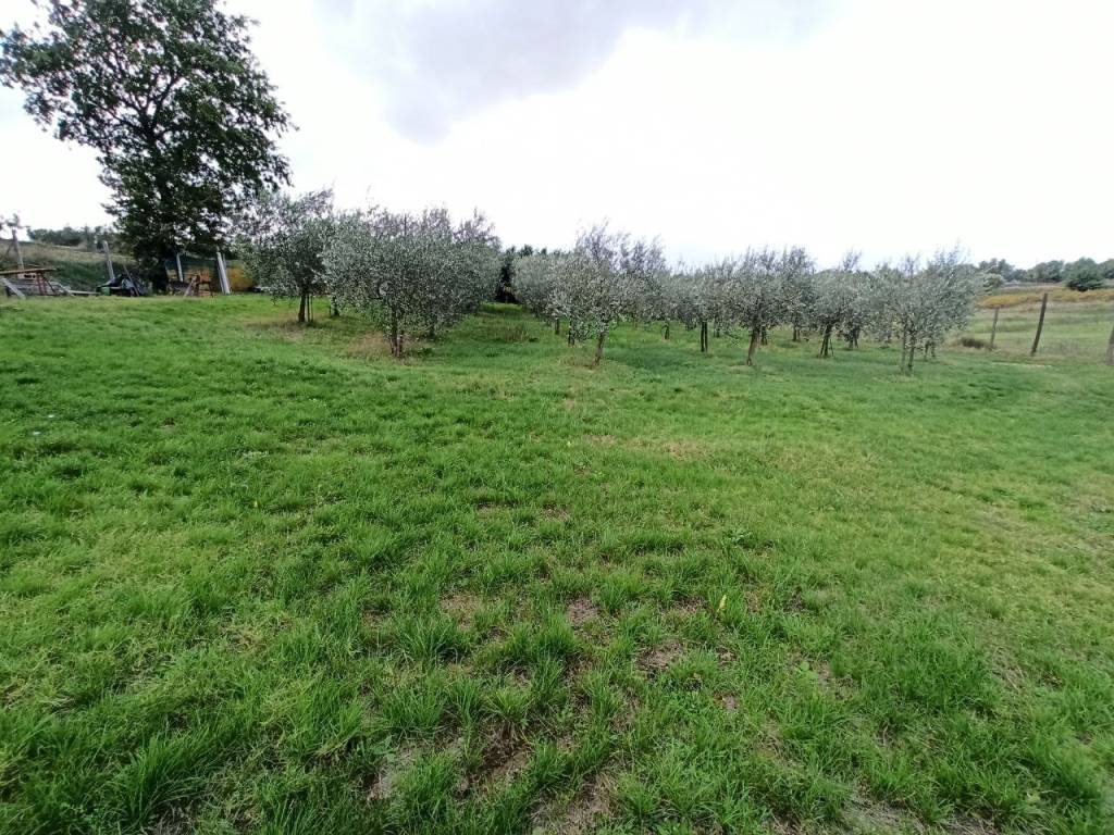 Terreno a Castiglione del lago in Via Nazionale, 39 - Foto 2
