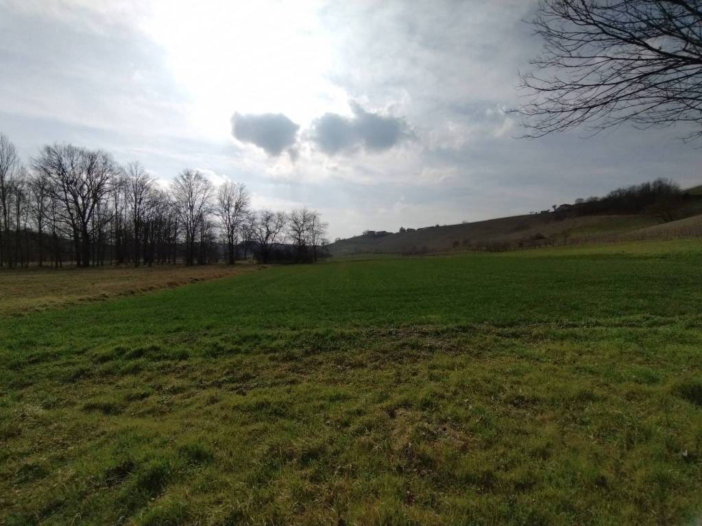 Rustico / casale a Agliano terme in Regione Brussacco - Foto 2