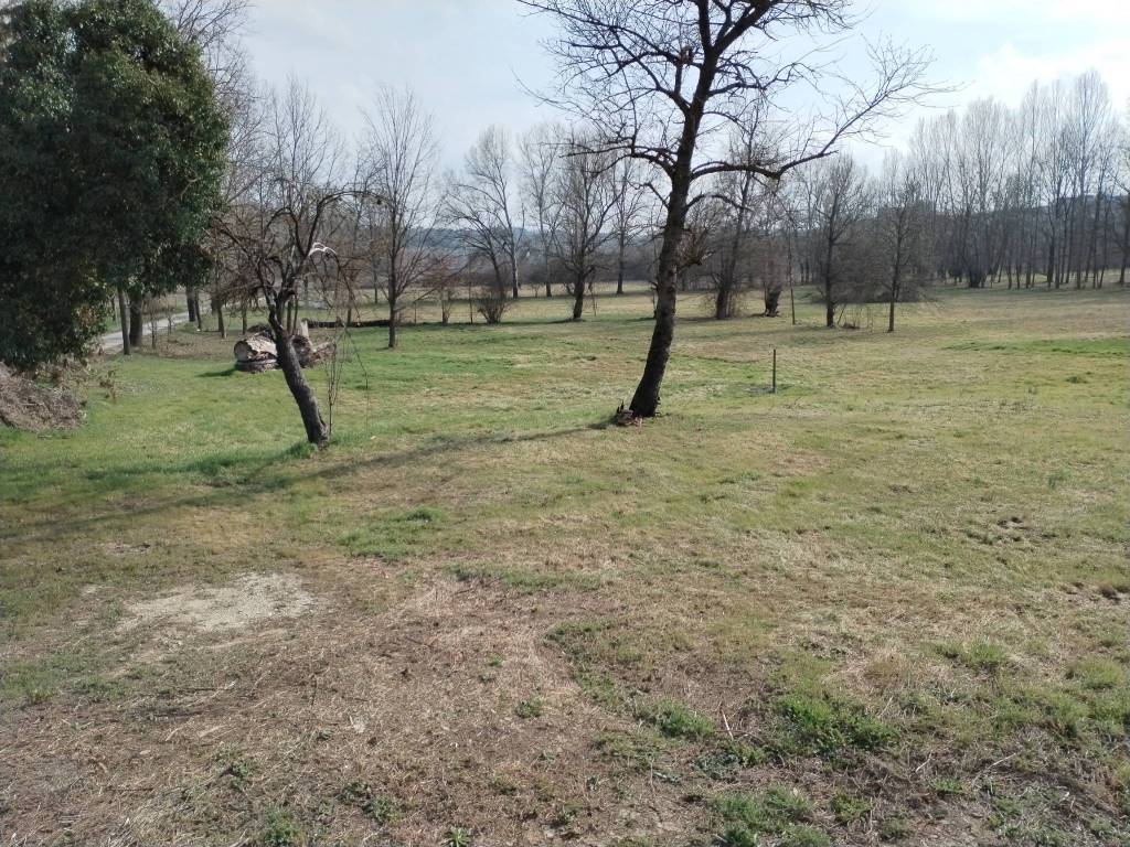 Rustico / casale a Agliano terme in Regione Brussacco - Foto 5