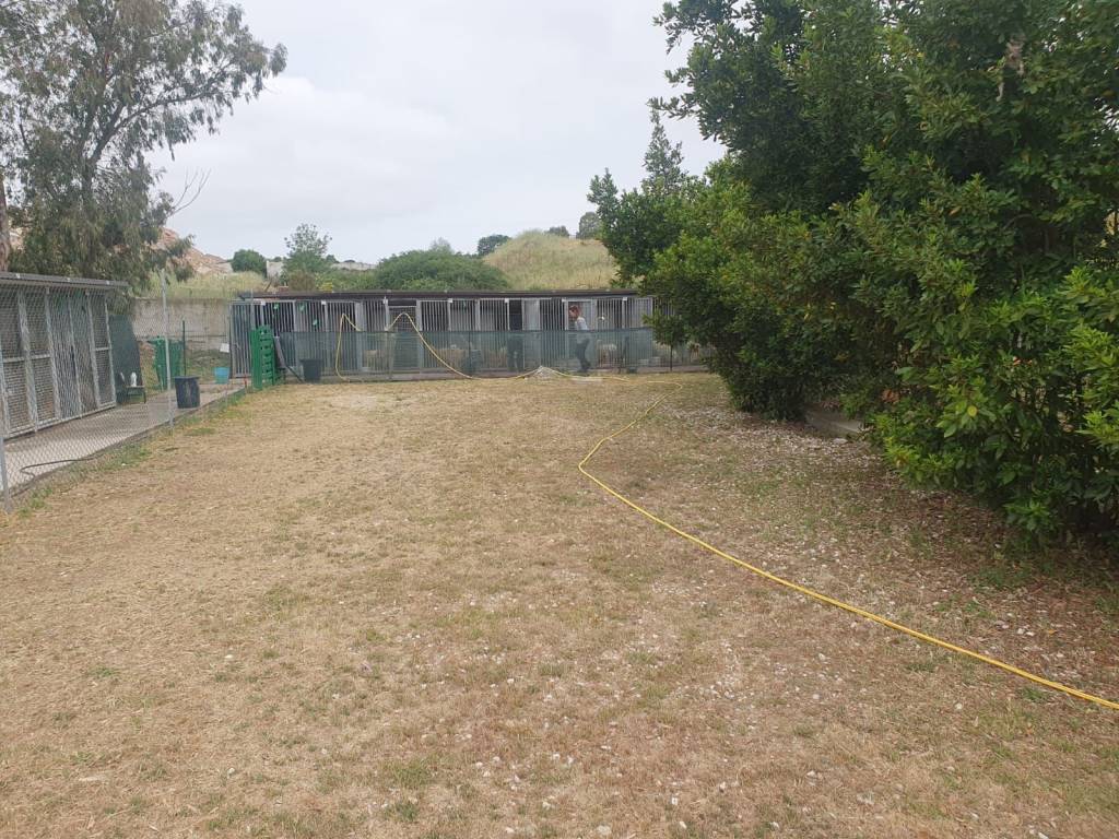 Terreno a Nuoro in Via Tempio, 13 - Foto 3