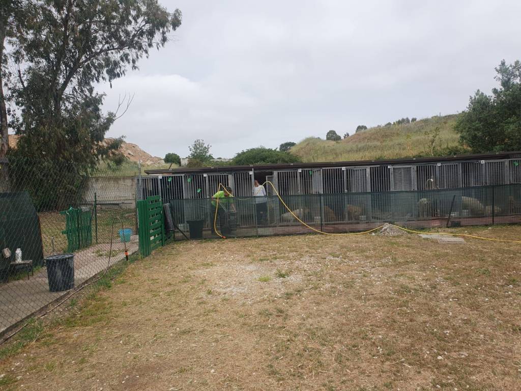 Terreno a Nuoro in Via Tempio, 13 - Foto 4