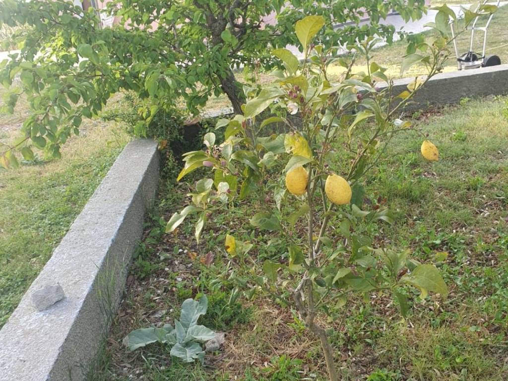 Terreno a Nuoro in Via Tempio, 13 - Foto 5