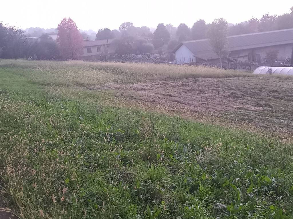 Terreno a Monticello brianza - Foto 3