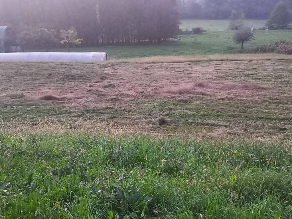 Terreno a Monticello brianza - Foto 5