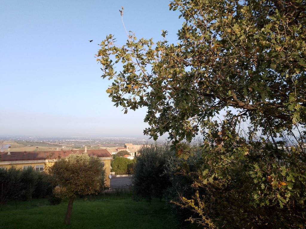 Casa indipendente a Nova siri in Rione Europa - Foto 4