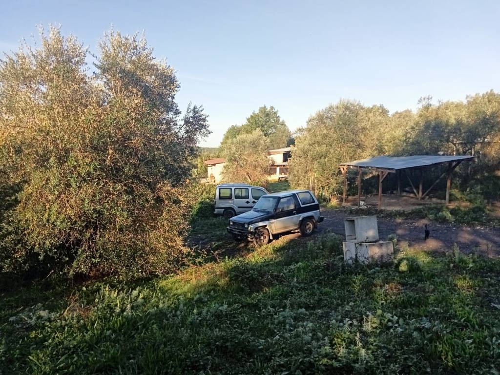 Terreno a Faleria in Strada Provinciale Falisca - Foto 4