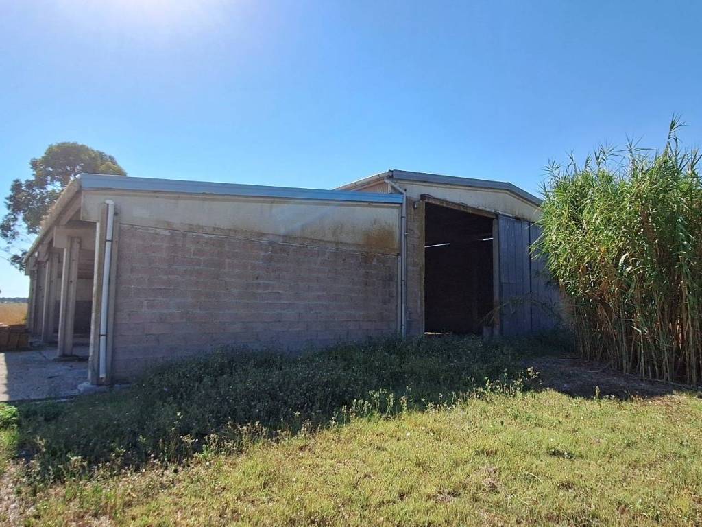 Immobile a Grosseto in Via dei Vecchi Casali - Foto 5