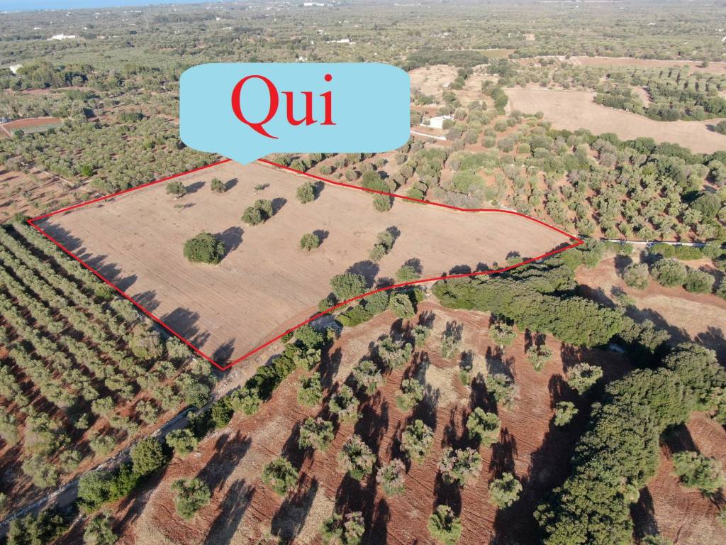 Terreno a Carovigno in SS16 - Foto 2