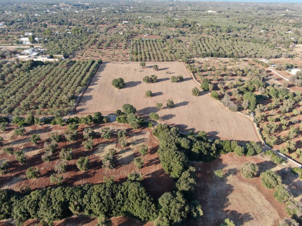 Terreno a Carovigno in SS16 - Foto 3