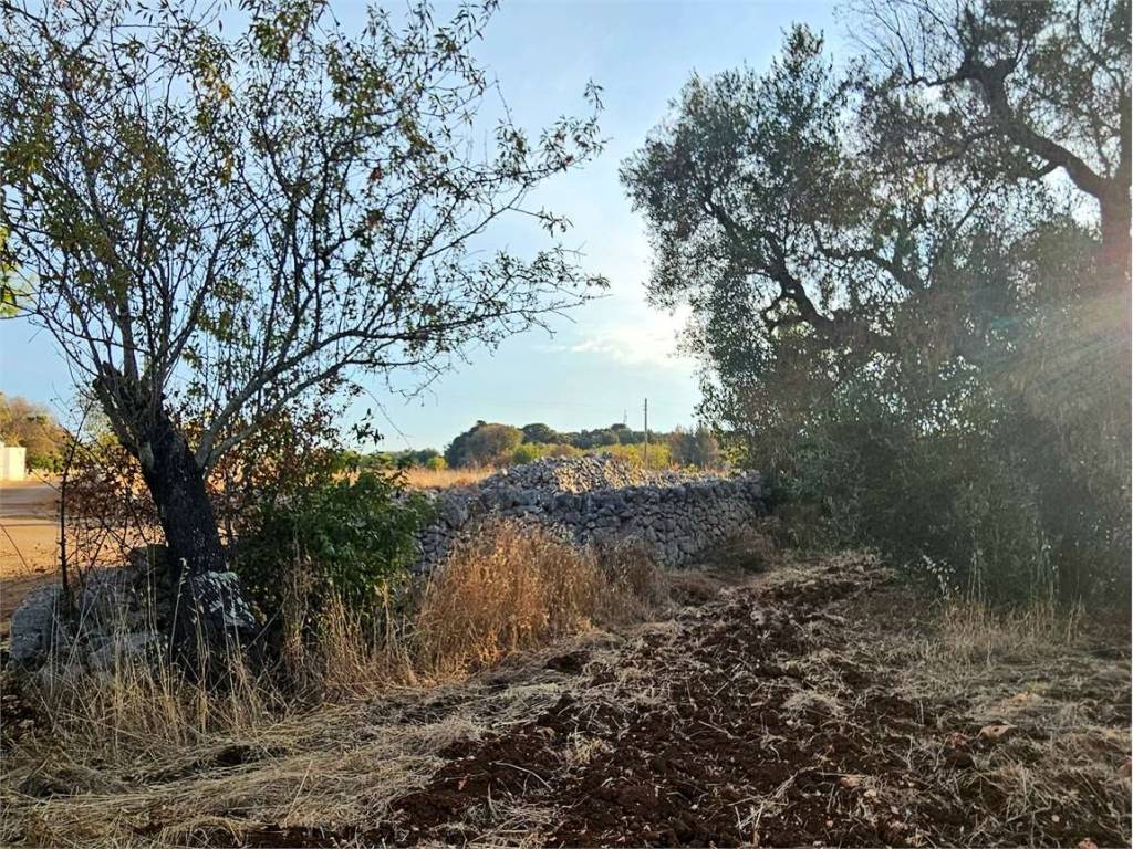 Terreno a Carovigno - Foto 2