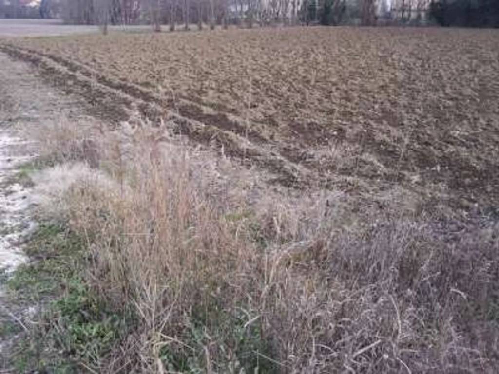 Terreno a Brugnera - Foto 3