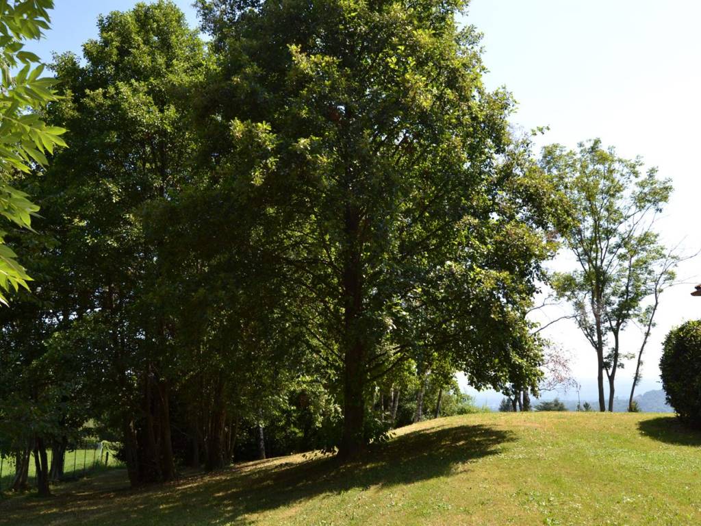 Villa a Pollone - Foto 5