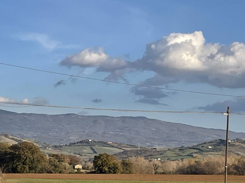 Rustico / casale a Campagnatico in PODERE LUVIGIANI , - Foto 4