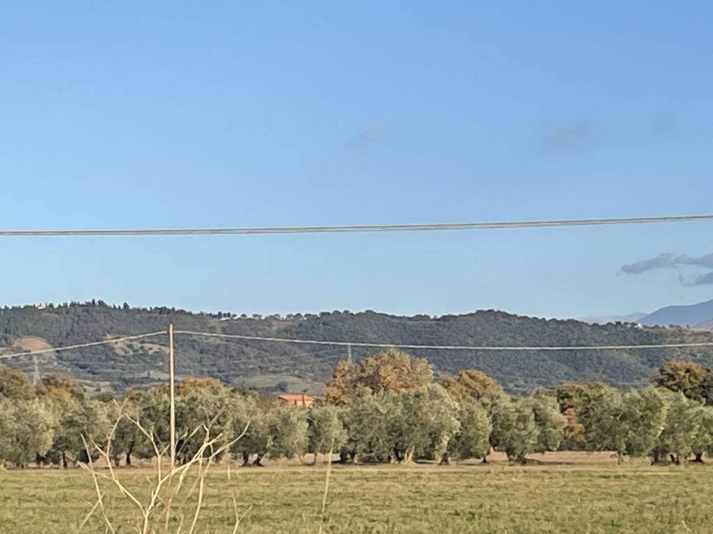 Rustico / casale a Campagnatico in PODERE LUVIGIANI , - Foto 5