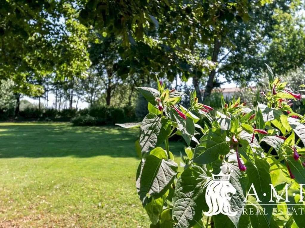 Villa a Buggiano in Via Falciano S.N.C. - Foto 5