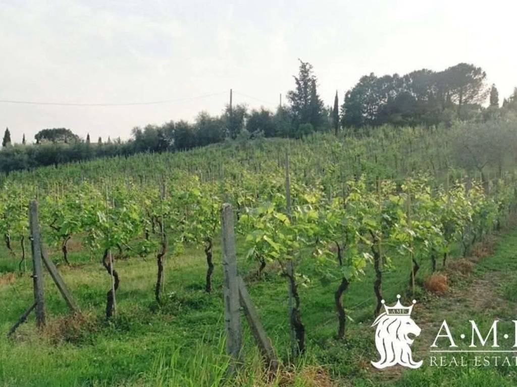 Villa a Pescia in Via Montecarlo S.N.C. - Foto 4