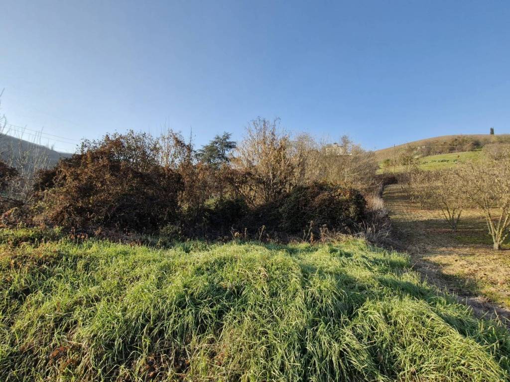 Terreno a Canale in Frazione Canova - Foto 4
