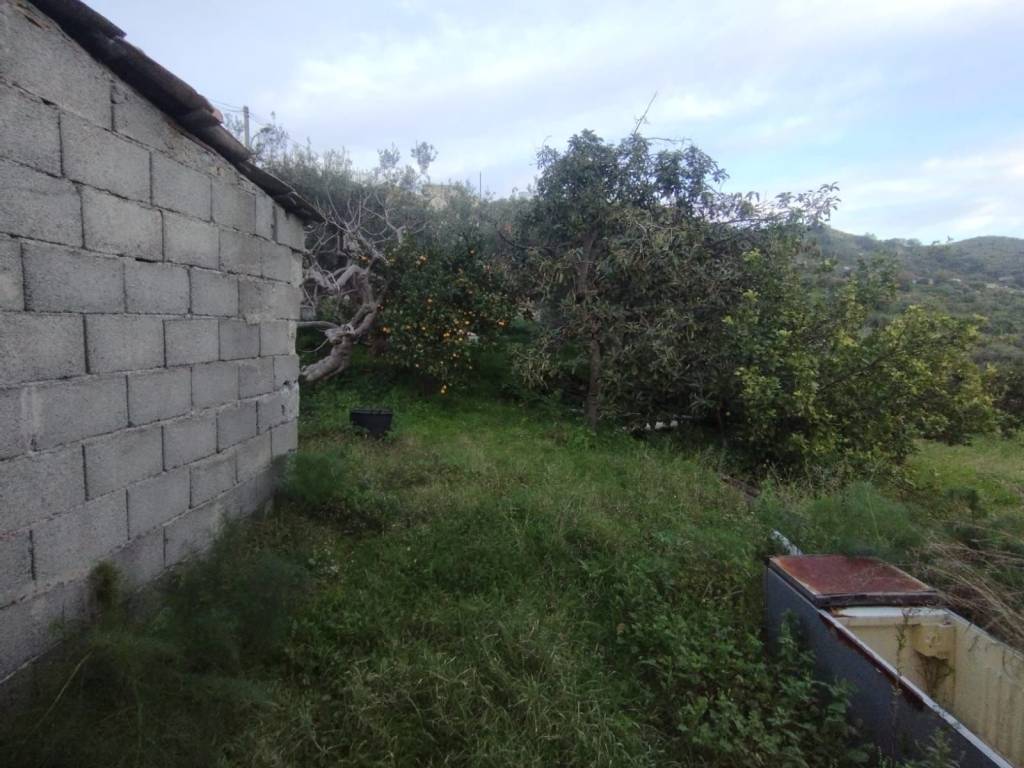 Terreno a Savoca - Foto 3