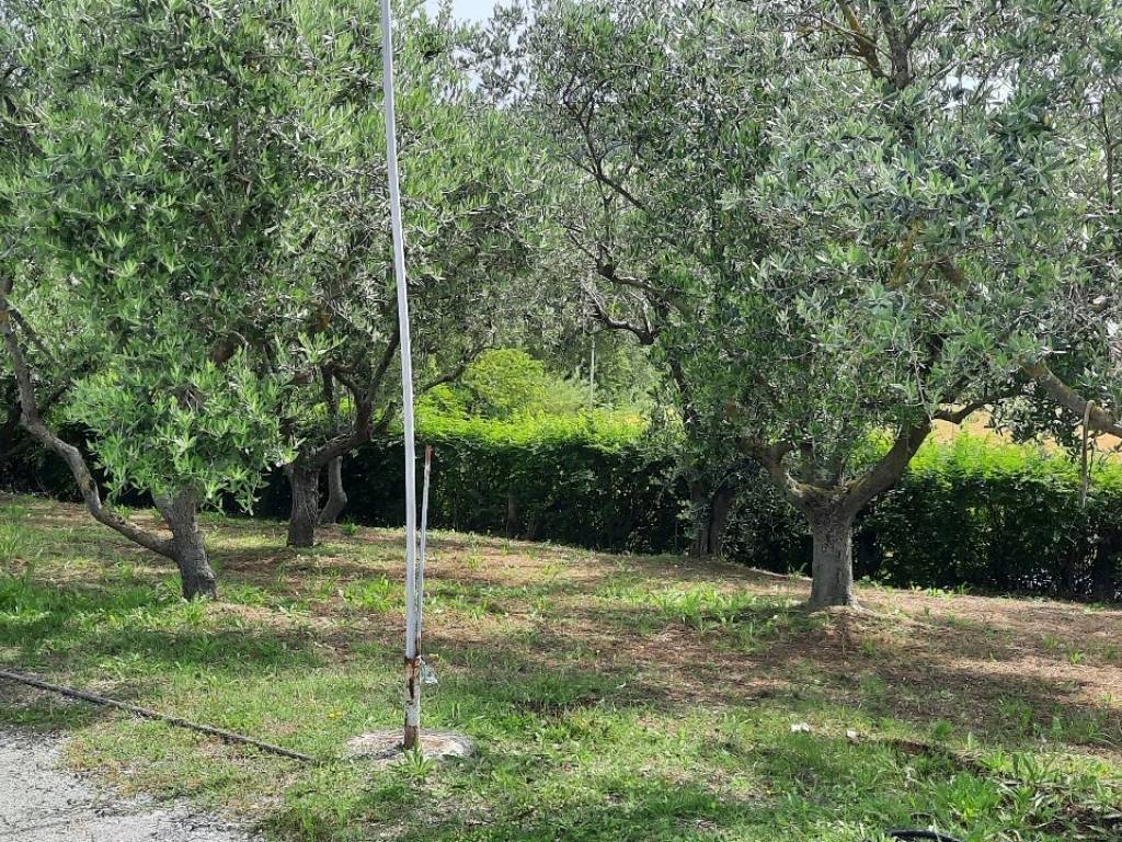 Palazzo / stabile a Gradara in Strada Provinciale Gradara - Foto 5