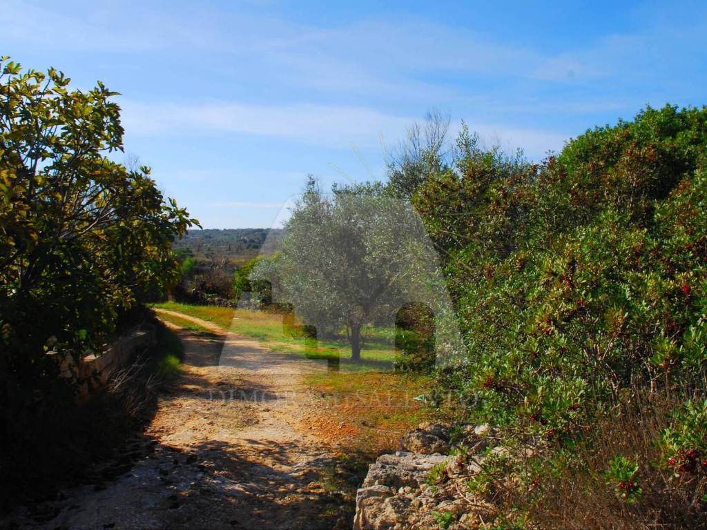 Rustico / casale a Presicce-acquarica in Strada Statale Salentina Meridionale - Foto 2