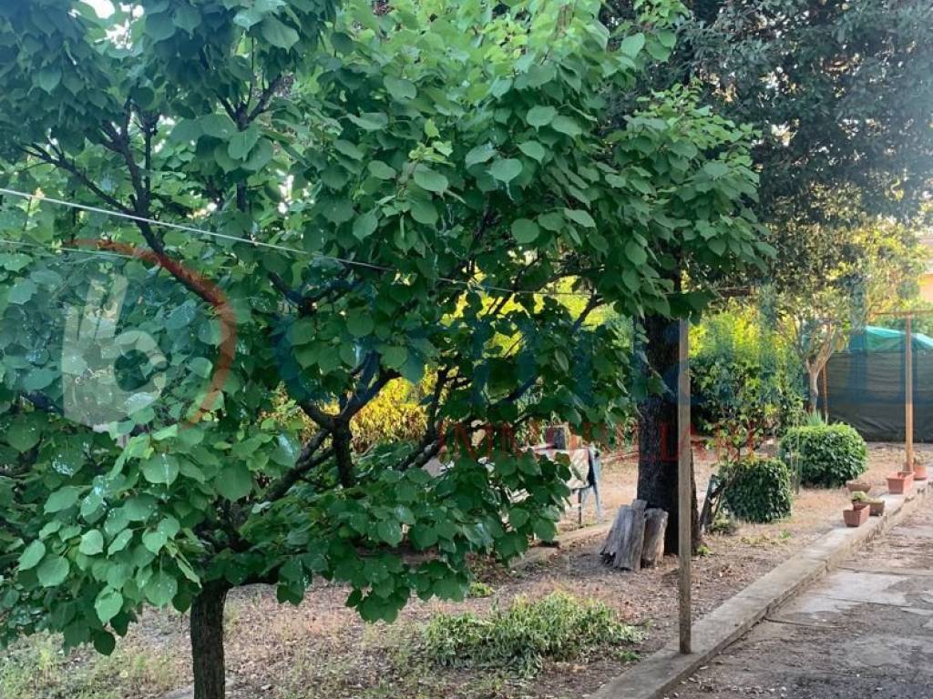 Casa indipendente a Bevagna in via capro , 5 - Foto 5