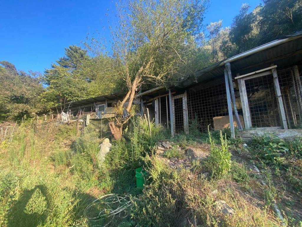 Terreno a Albenga in Via Corsica - Foto 3